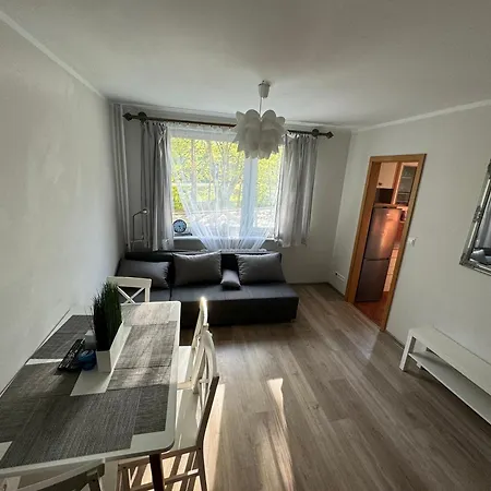 Witawa 2024 غدينيا